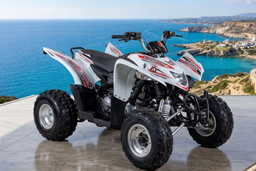 AEON COBRA 300 — Quad / ATV — 300cc for rent